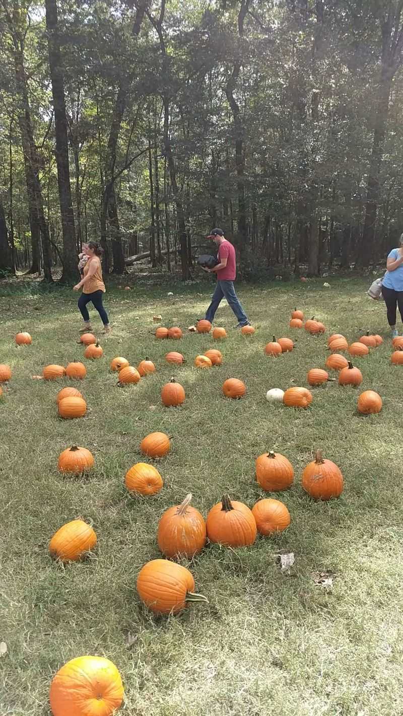 Helena Hollow, Helena, AL