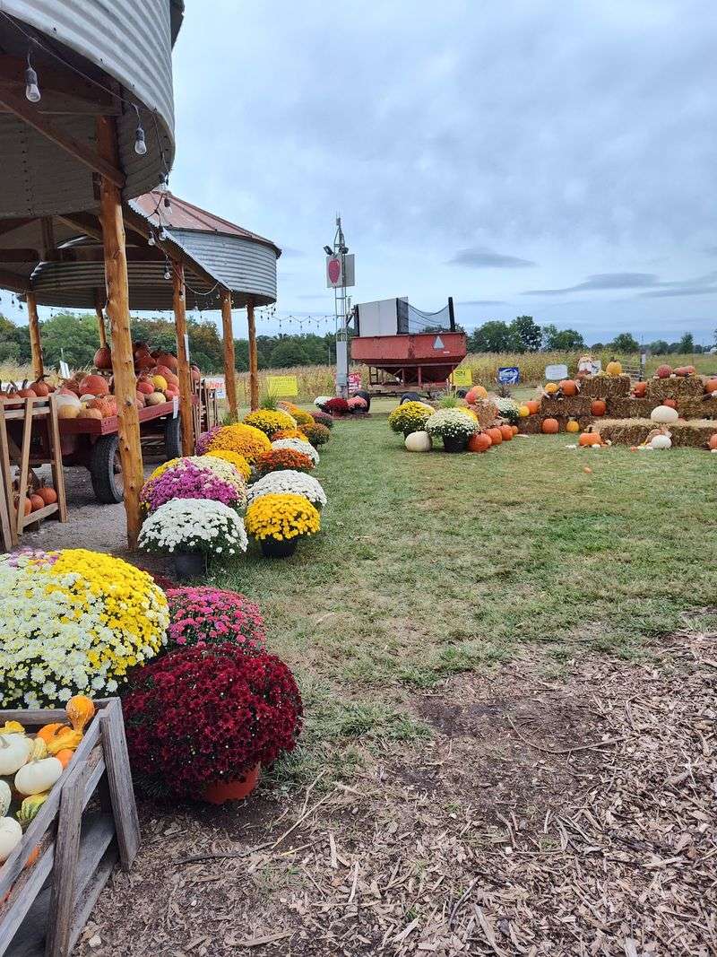 Hickory Ridge Orchard, Mexico, MO