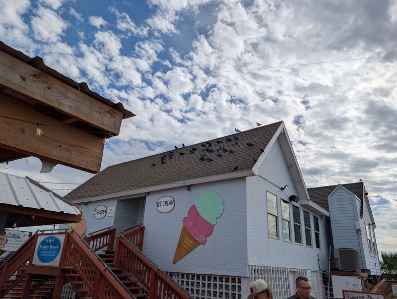 Hours, Costs, and Scoopy's Next Door