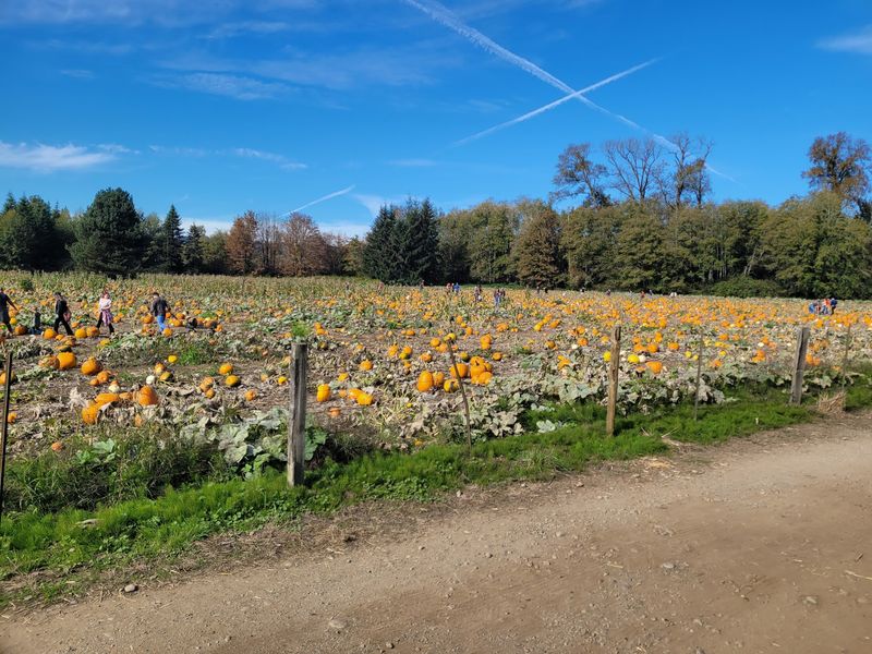 Hunter Farms, Union, WA
