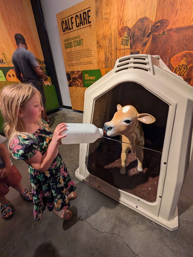 Interactive Fun For Kids Of All Ages