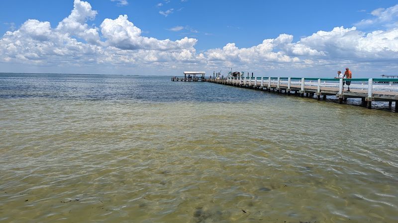Island Life in Lee County