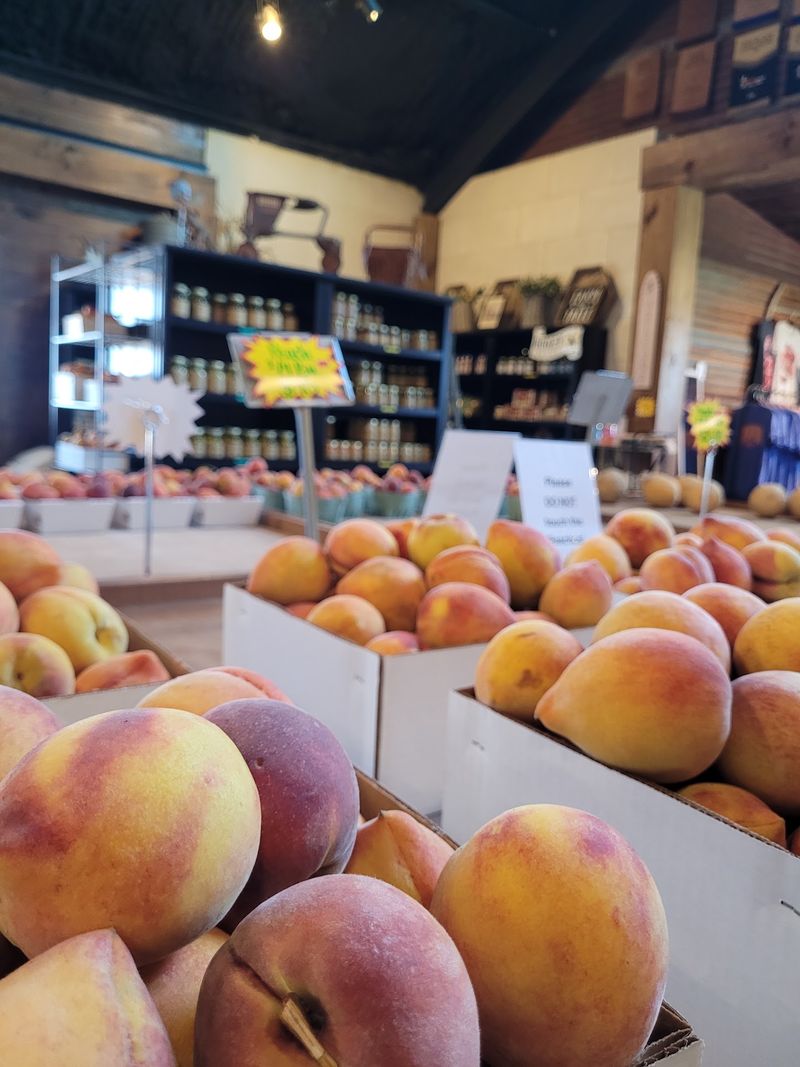 Jenschke Orchards, Fredericksburg, TX Jenschke Orchards, Fredericksburg, TX