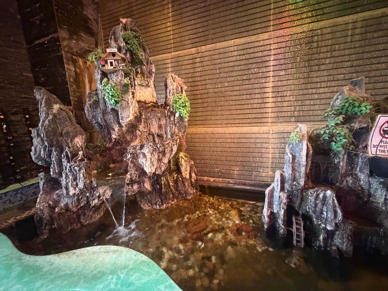 Koi Fish Greeting You at the Door