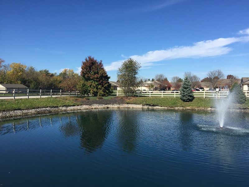 Laps Around the Pond