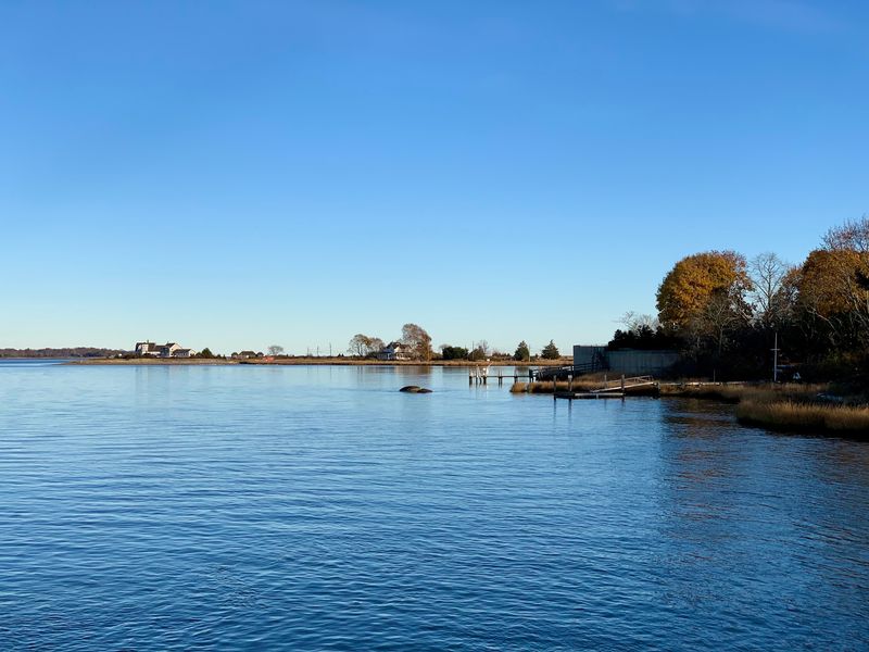 Life Along Long Island Sound