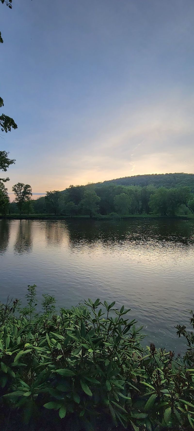 Life Along the Allegheny