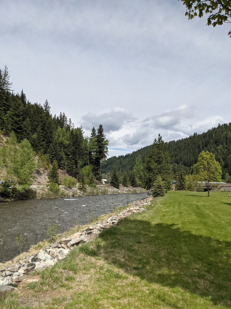 Life Along the South Fork