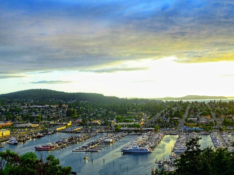 Life on Fidalgo Island