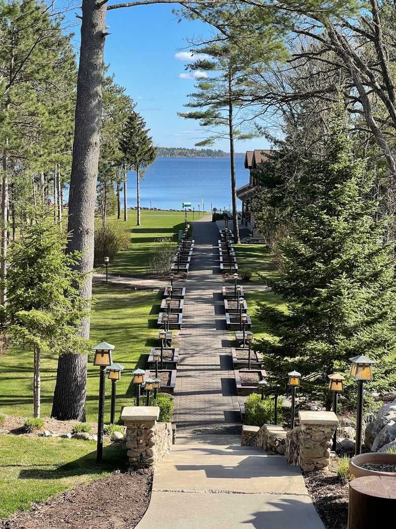 Life on Gull Lake