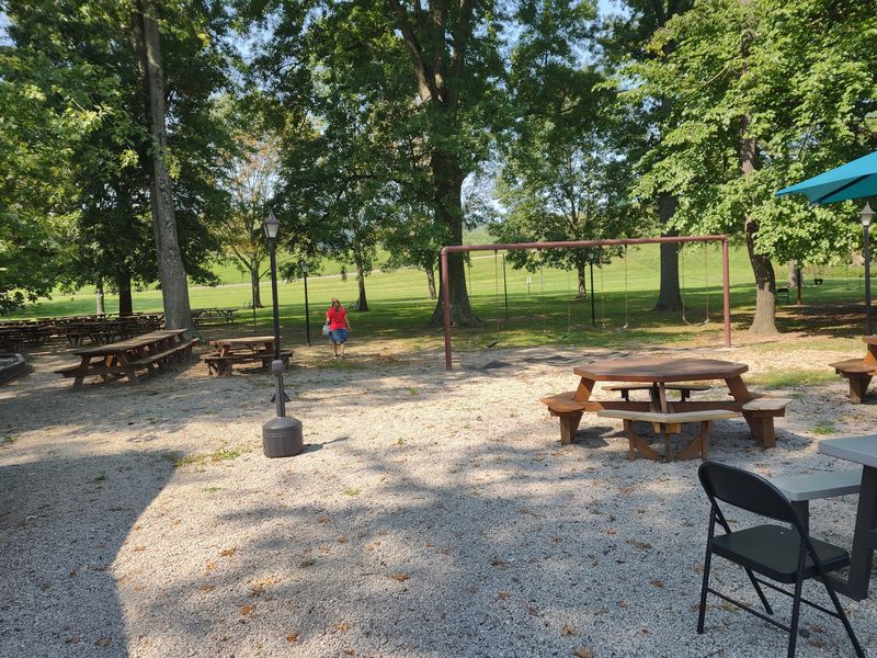Live Bands and the Picnic Grove Mood Live Bands and the Picnic Grove Mood