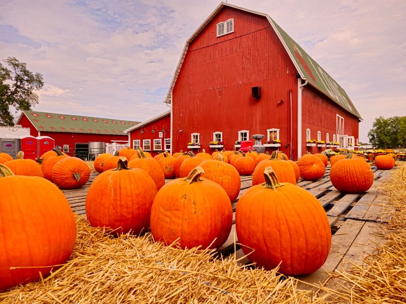 Long Family Orchard & Farm, Commerce Township, MI