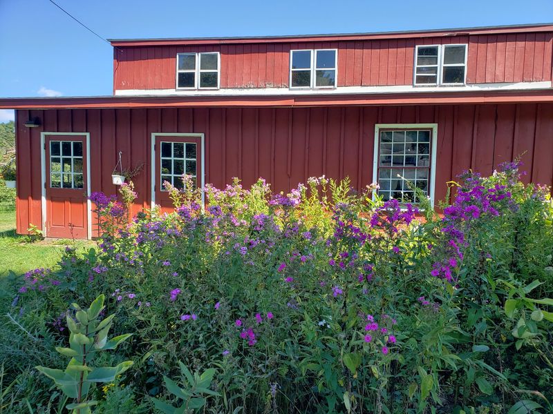 Lost Acres Orchard, North Granby, CT