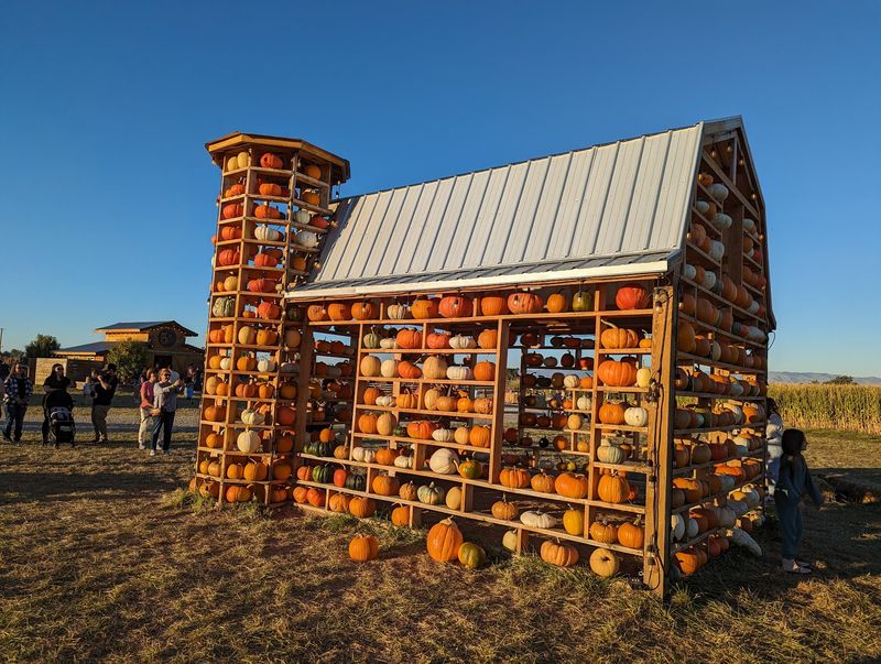Lowe Family Farmstead, Kuna, ID