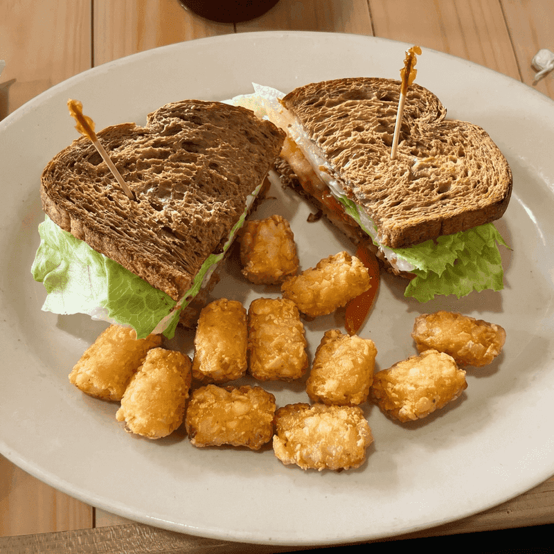 Lunch Plates That Hold Their Own
