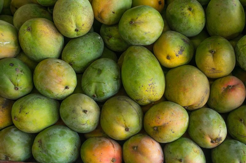 Mango Season Brings a Crowd