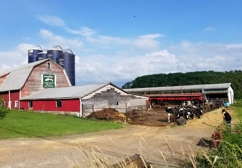 Manning Farm Dairy, Dalton, PA