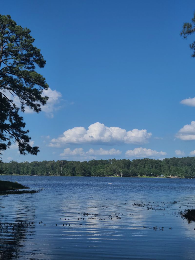 Many, Toledo Bend Reservoir Many, Toledo Bend Reservoir