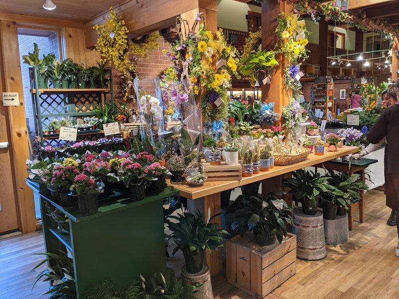 Maple Shelves, Candy Counters, and a Greenhouse