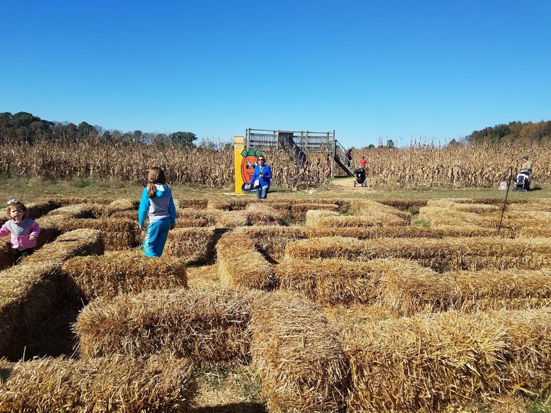 Mayse Farm Market LLC, Evansville, IN