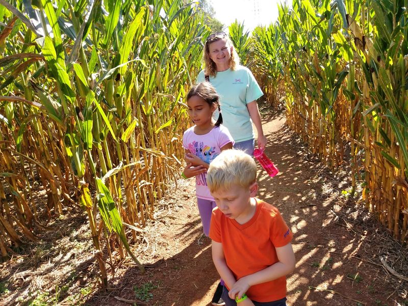 McKee CornField Maze, Rougemont, NC