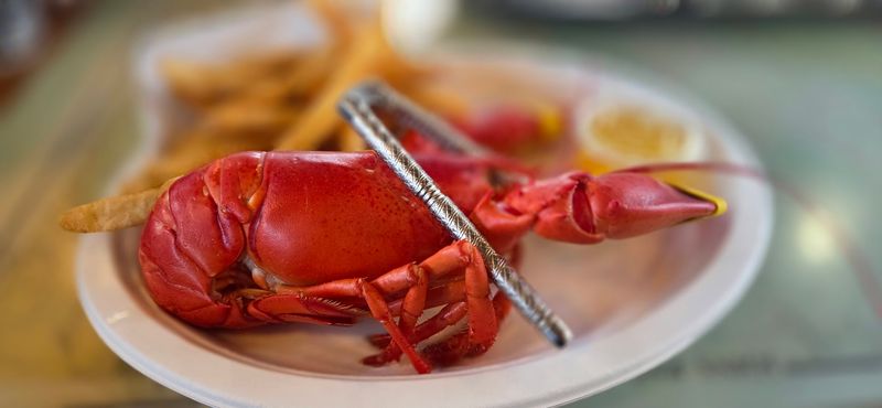 Meeting the Lobsters Up Close