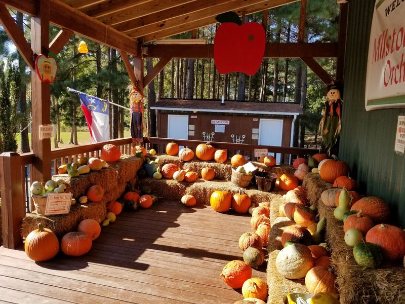 Millstone Creek Orchards, Ramseur, NC Millstone Creek Orchards, Ramseur, NC