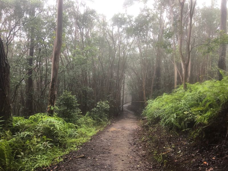 Mud, Slick Rocks, And Why Shoes Matter Mud, Slick Rocks, And Why Shoes Matter