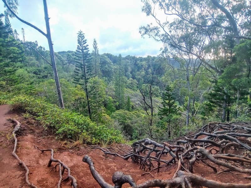 Muddy Patches and Trail Conditions to Expect