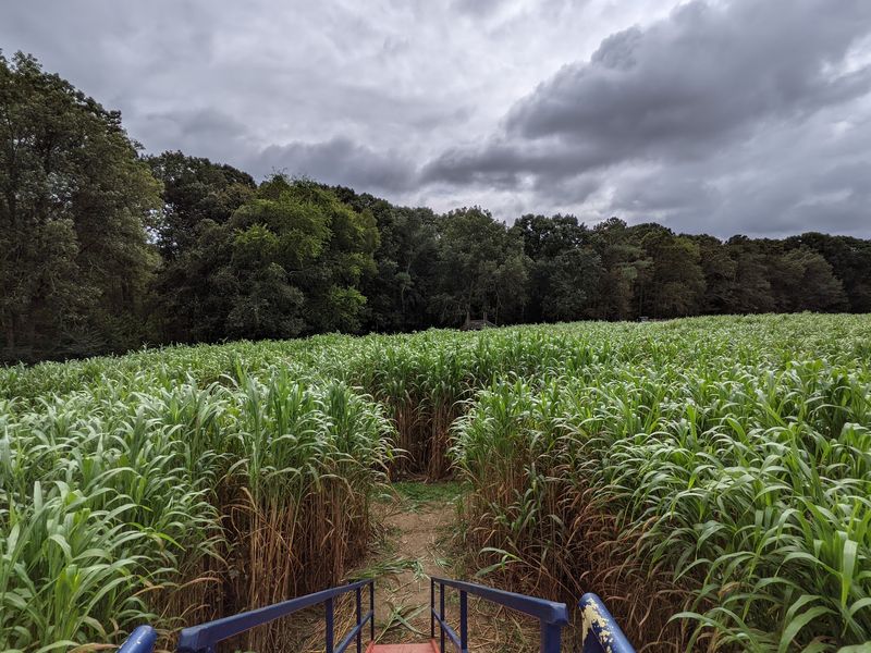 Naylor Family Farm & Corn Maze, Fuquay-Varina, NC