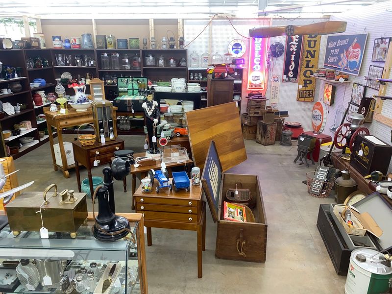 New Finds Arriving Daily