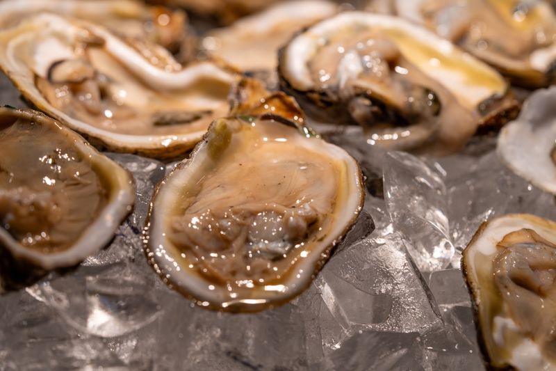 Oysters, Octopus, and Other Ocean Treats