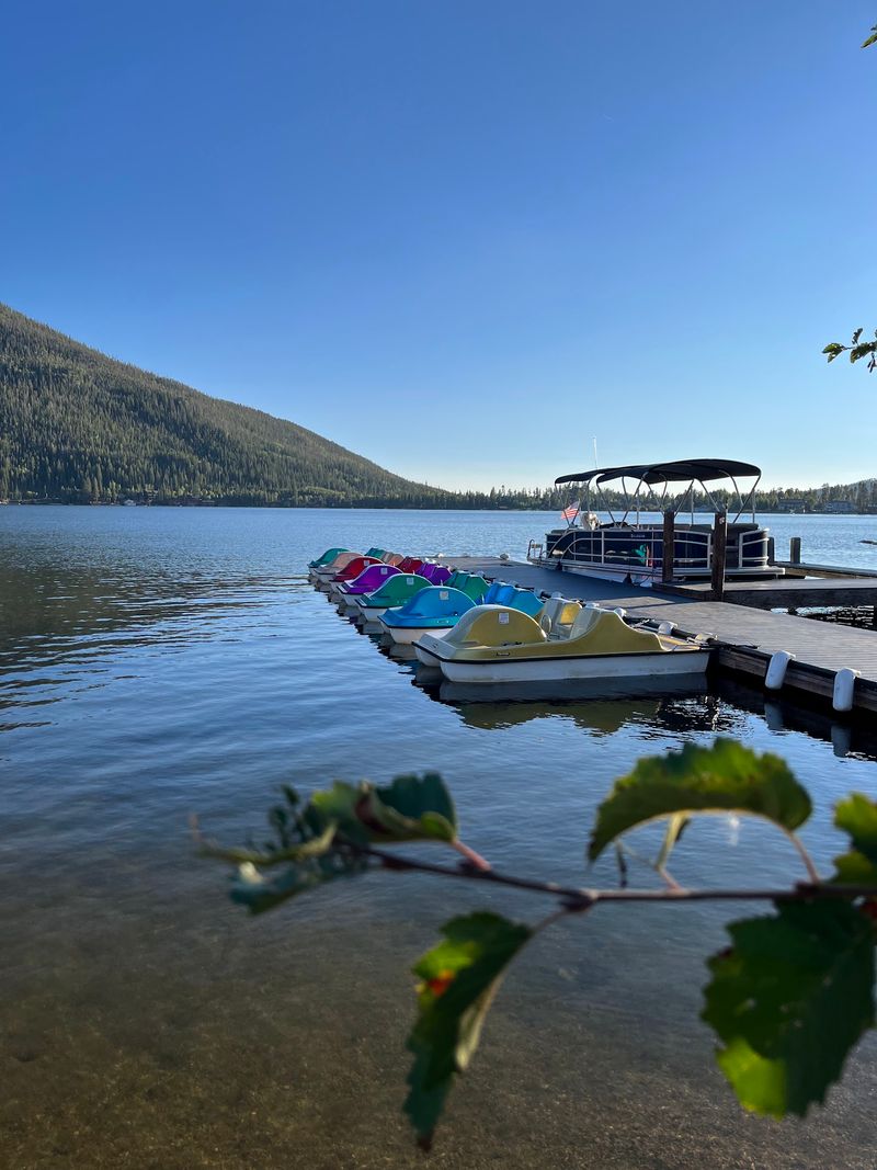 Paddle Boats and a Fleet of Rentals