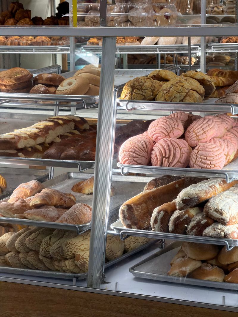 Pan Dulce and the Bakery Case
