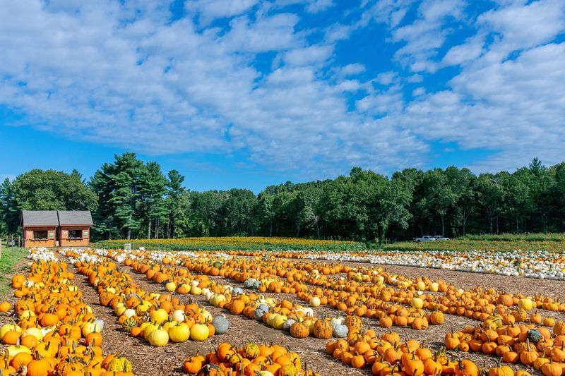 Parlee Farms, Tyngsborough, MA