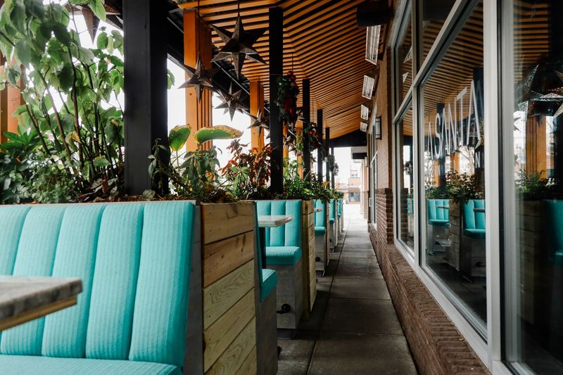 Patio Seats and Four-Legged Guests
