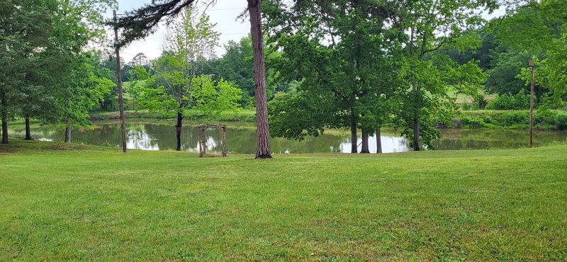 Pecan Trees, a Pond, and Mississippi Memories