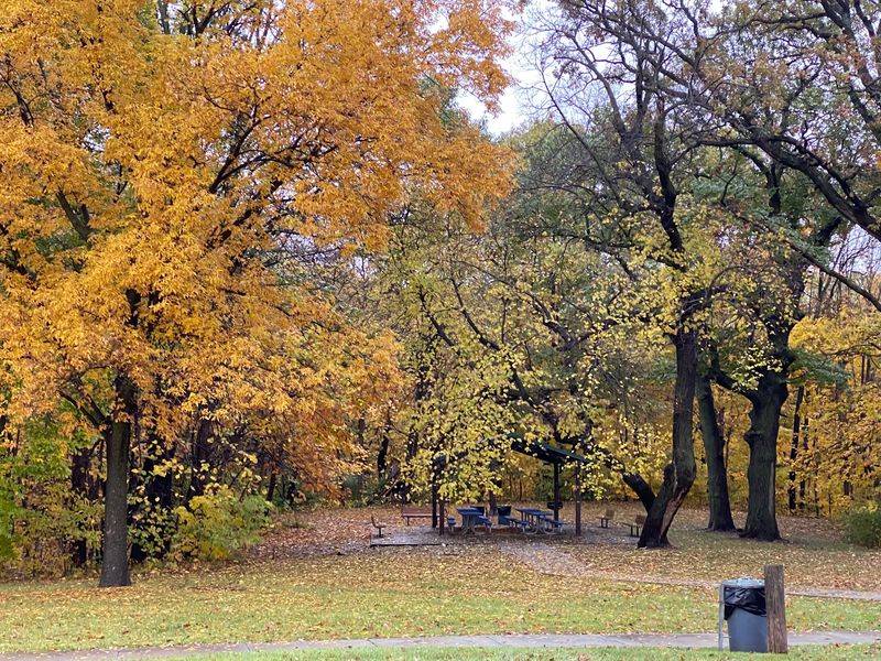 Picnic Spots And A Rentable Gazebo Picnic Spots And A Rentable Gazebo