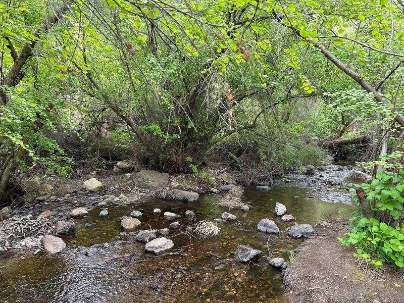 Picnic Spots and Quiet Corners Picnic Spots and Quiet Corners