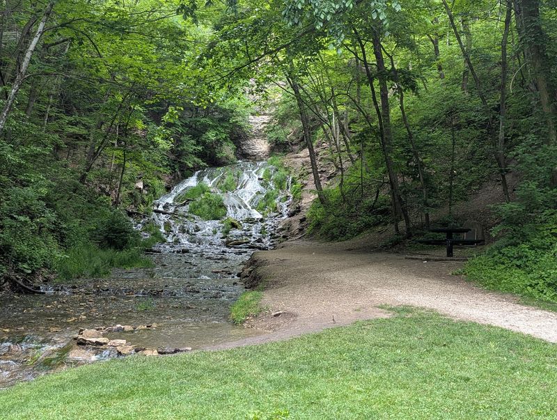 Picnic Spots and River Time