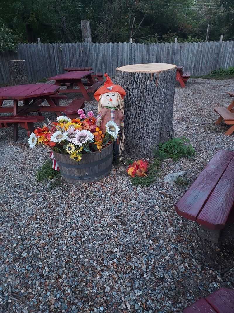 Picnic Tables and Backyard Charm