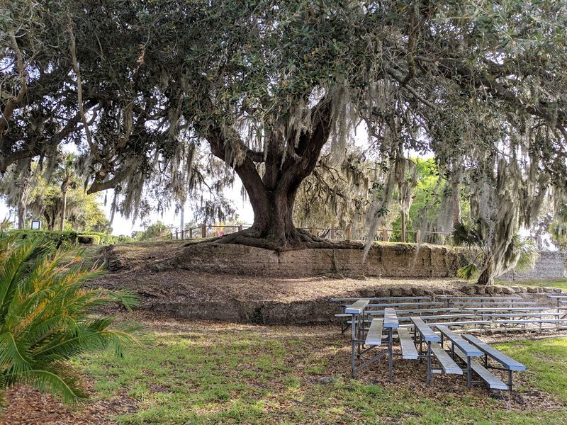 Picnic Tables and Unhurried Afternoons