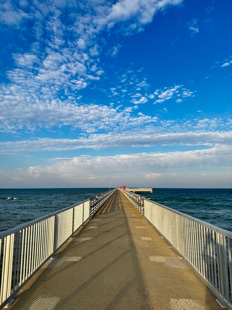 Piers, Jetties, And Patient Anglers