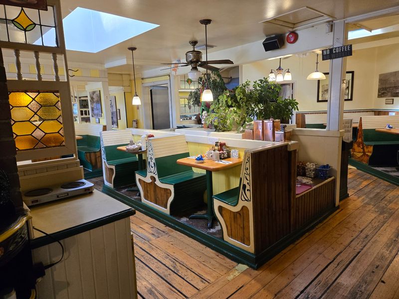 Plants, Antiques, and Plenty of Daylight