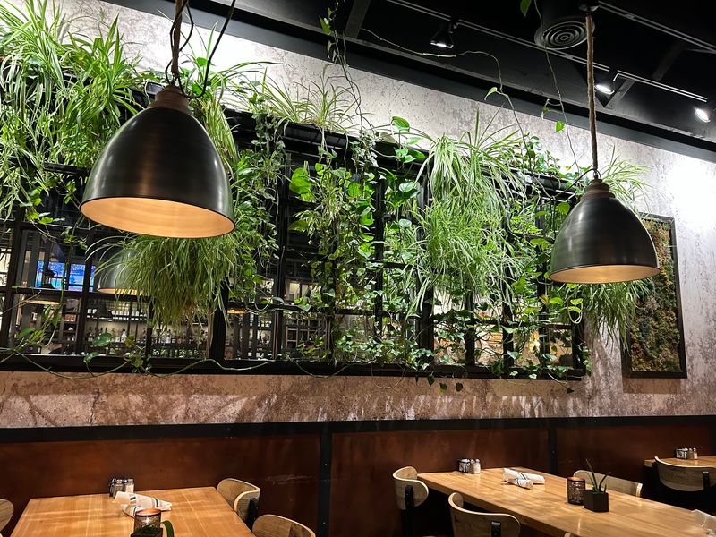 Plants, Polish and a Modern Look