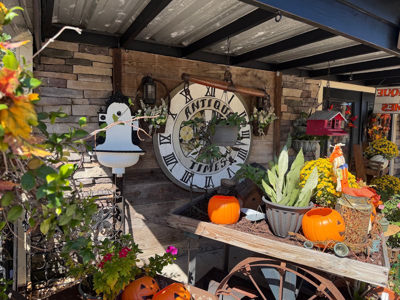 Plants, Produce, and Pickle Stands