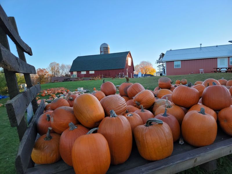 Pleasant Valley Orchard and Cidery, Shafer, MN