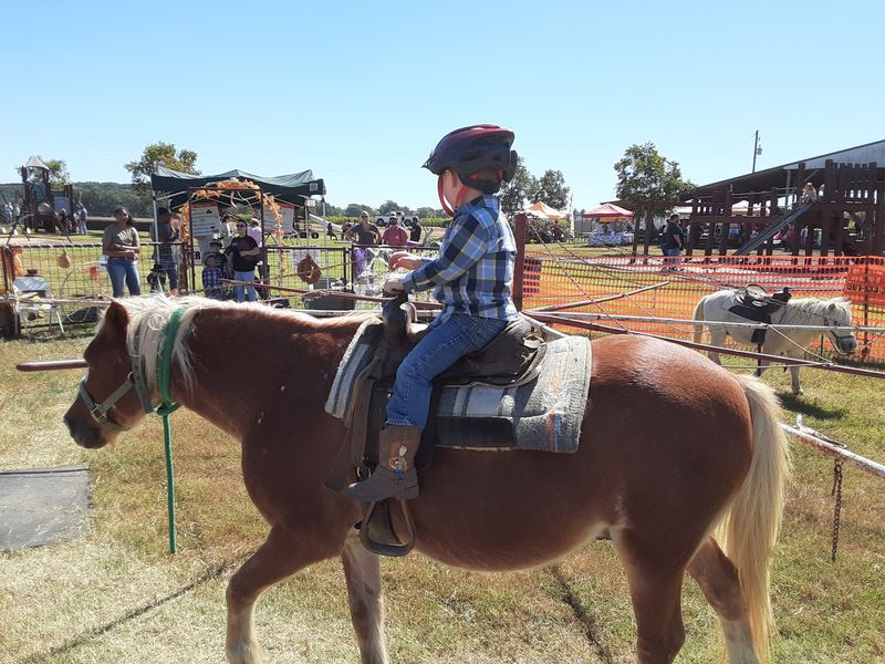 Ponies, Trains and Barnyard Friends