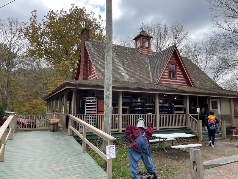 Porch Seats, Picnic Tables, and Lawn Games