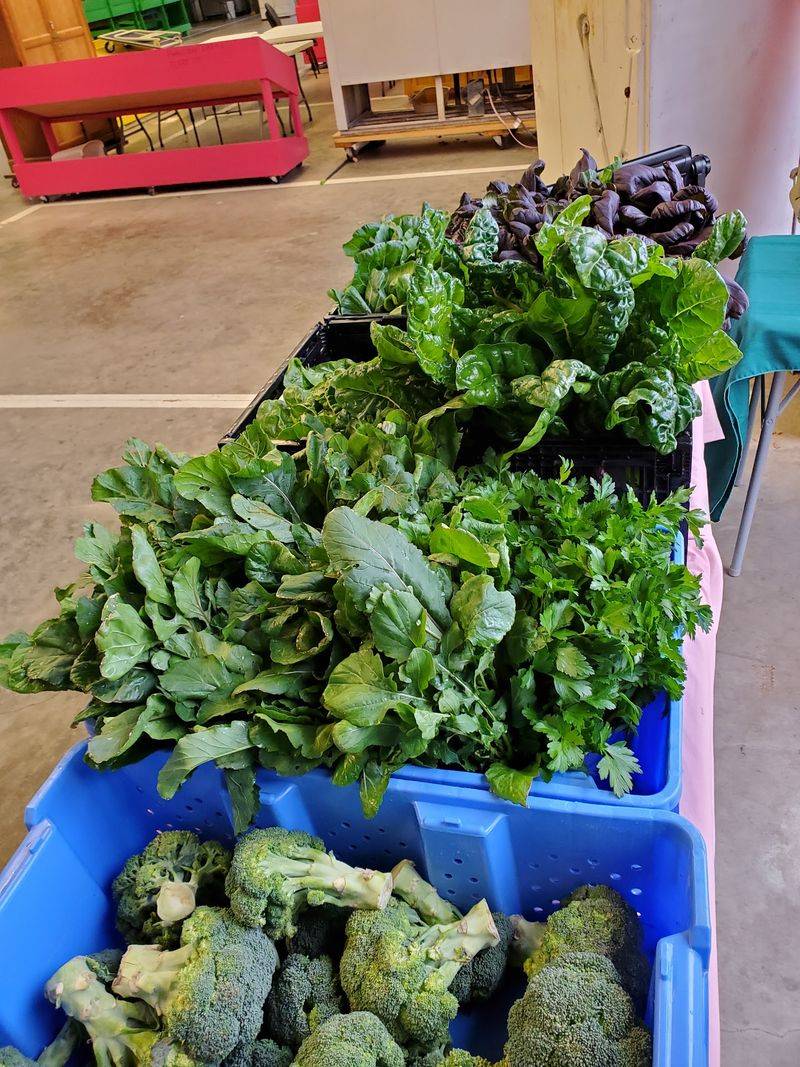 Produce Straight From Mississippi Fields Produce Straight From Mississippi Fields